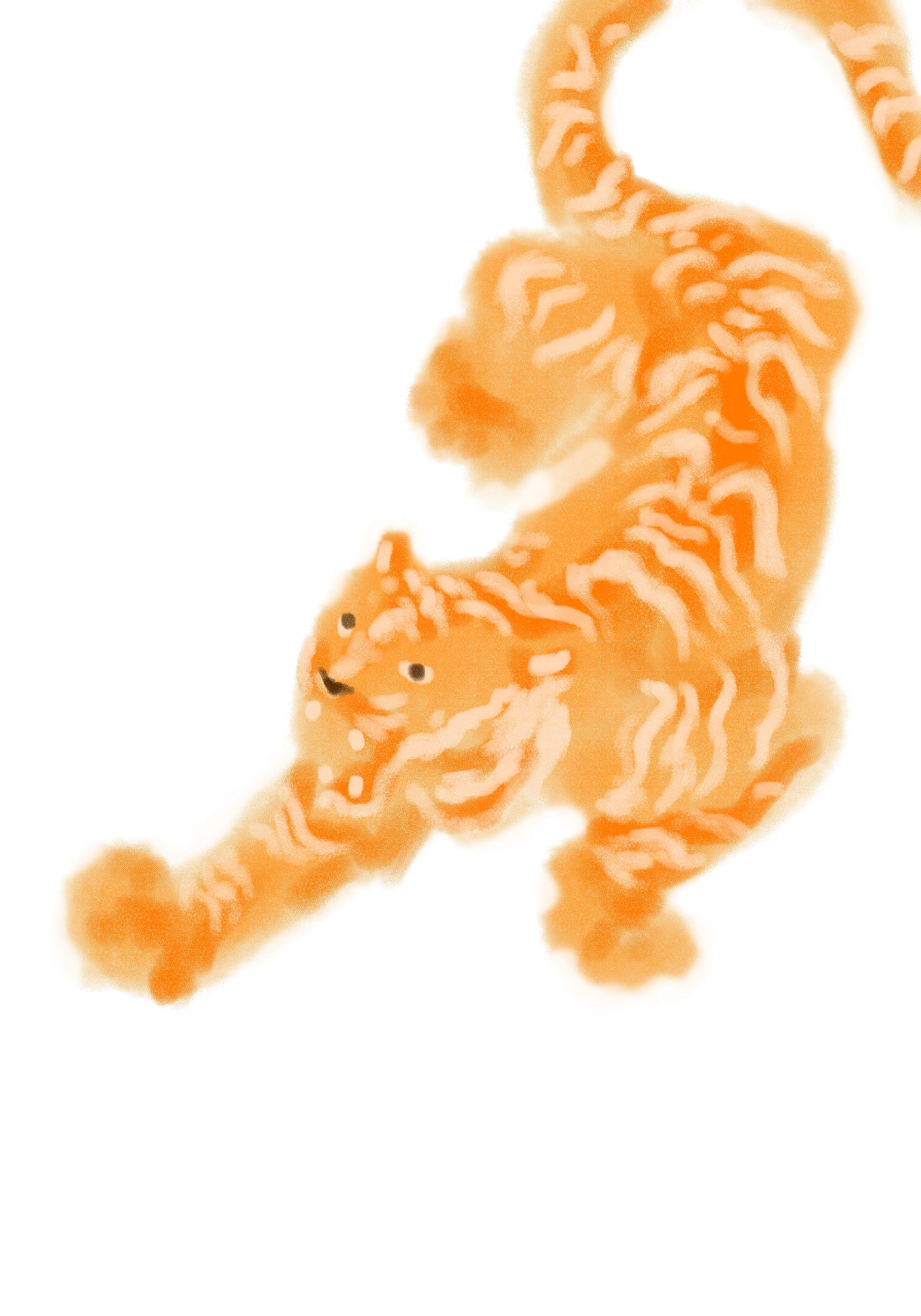 photo tournage au salon